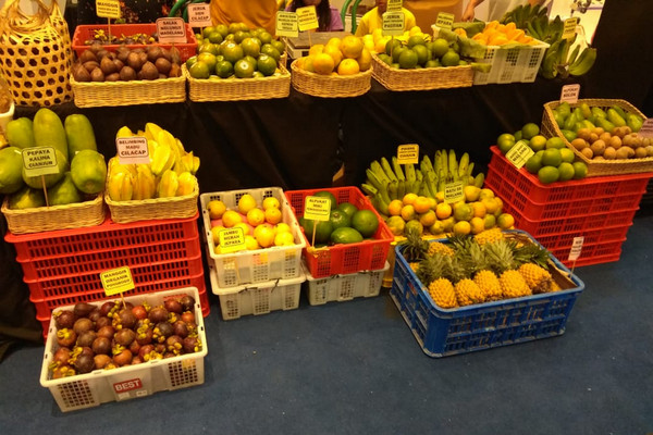 Ilustrasi. (Foto: Ist)