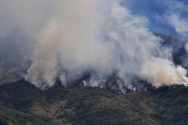 Arsip: Kebakaran hutan Gunung Sumbing terus meluas di foto dari Desa Adipura, Kaliangkrik, Magelang, Jawa Tengah, Rabu (14/8/2019). (Foto&keterangan: Antara Foto).