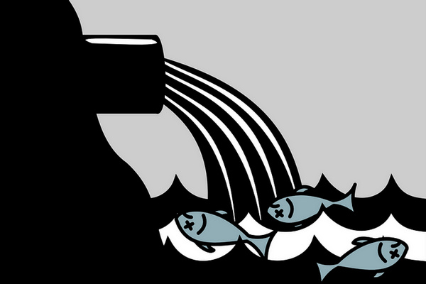 Ilustrasi. (Foto: Pixabay)