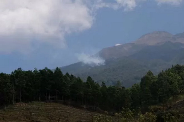 Kepulan asap terlihat di kawasan hutan lereng Gunung Sumbing, Jateng, Senin (23/9). (Foto: Antara/Heru Suyitno)