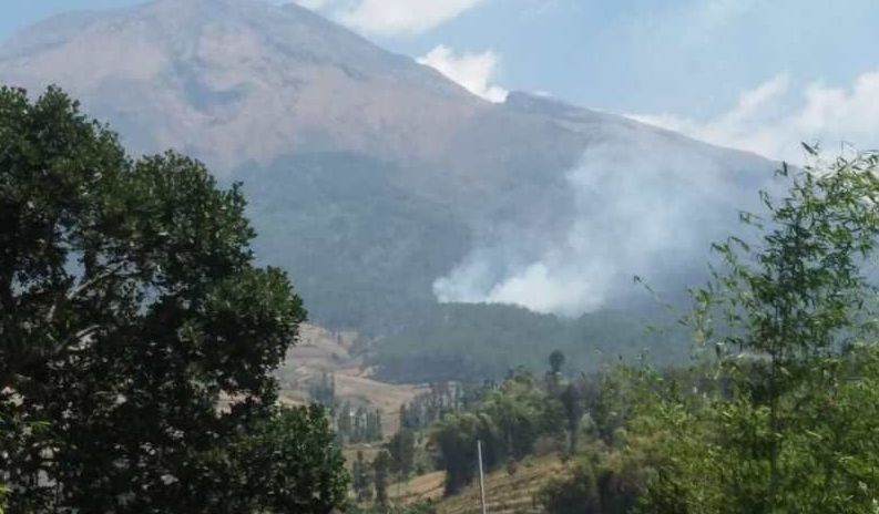 Penampakan asap kebakaran lereng Gunung Sumbing, Sabtu (05/10)/Foto: Antara
