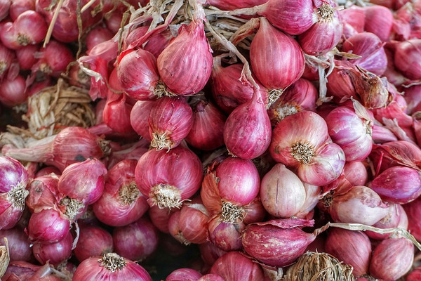 Ilustrasi. (Foto: Pixabay)