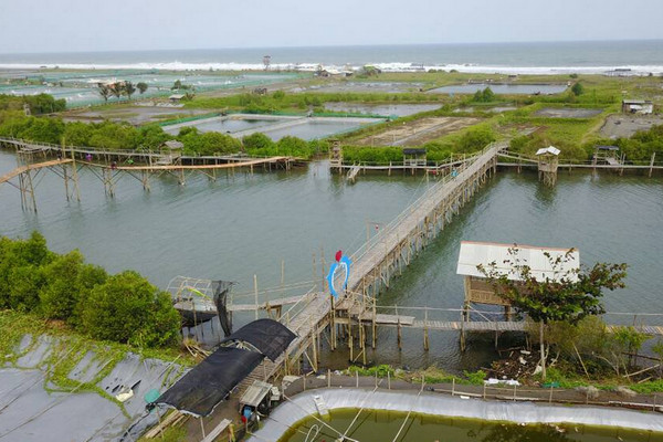Kawasan tambak udang di Desa Jangkaran, Kecamatan Temon, Kabupaten Kulon Progo, DIY. (Foto: Twitter/@KemenDesa)