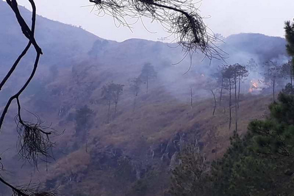 Kebakaran hutan di lereng Gunung Andong di wilayah Dusun Temu, Desa Jogoyasan, Kecamatan Ngablak, Kabupaten Magelang, Jateng, Minggu (13/10). (Foto: Pemkab Magelang)