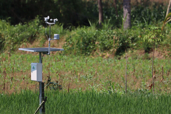 Alat sensor dipasang di lahan pertanian yang menerapkan smart farming. (Foto: Dok. Ditjen PDT Kemendes PDTT)