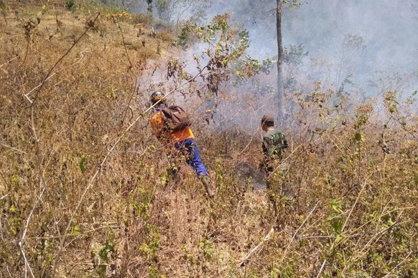 Petugas gabungan berupaya memadamkan api yang membakar lahan di Gunung Pegat, Kabupaten Wonogiri, Jateng, Selasa (22/10). (Foto: Dok. BPBD Wonogiri)