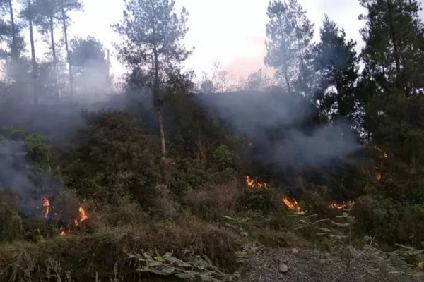 Kebakaran di lereng Gunung Merapi wilayah Kabupaten Magelang, Jateng. (Foto: BPBD Kabupaten Magelang)