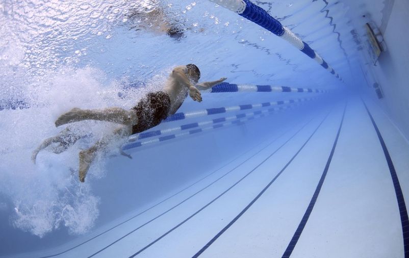 Olahraga Renang (Pixabay).