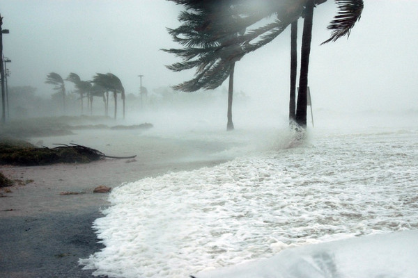 Ilustrasi. (Foto: Pixabay)