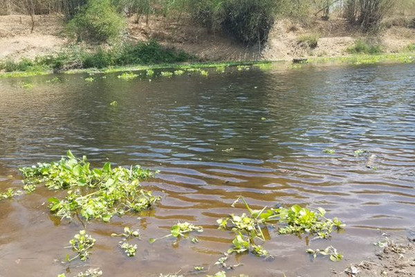 Kondisi Sungai Bengawan Solo yang tercemar limbah alkohol di Kota Surakarta, Jateng, Kamis (31/10). (Foto: Twitter/@pdamsolo)