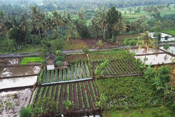 Jalan strategis sepanjang tiga kilometer di Desa Anjani, Kecamatan Suralaga, Kabupaten Lombok Timur, NTB, yang dibangun Ditjen PDT. (Foto: Dok. Ditjen PDT Kemendes PDTT