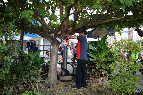 Petugas memangkas pohon perindang. (Foto: Pemkot Surakarta)