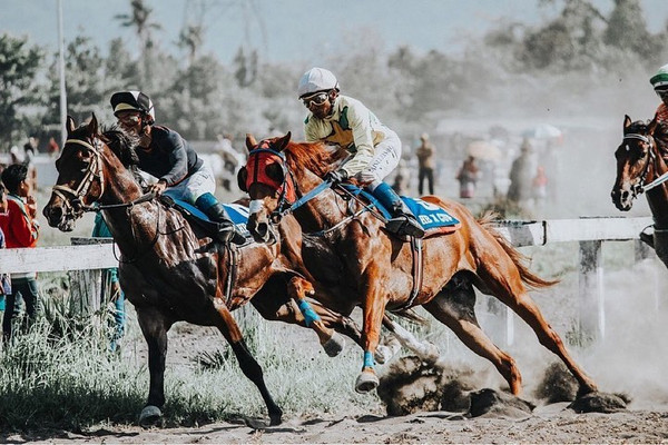 Pelaksanaan Festival Andong dan Pacuan Kuda HB X Cup 2019 di Stadion Sultan Agung, Kabupaten Bantul, DIY, Minggu (17/11). (Foto: Instagram/@ftchirzkii)
