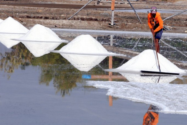 Petani memanen garam di Desa Bunder, Kabupaten Pamekasan, Jatim, Selasa (8/10). (Foto: Antara Foto/Saiful Bahri)