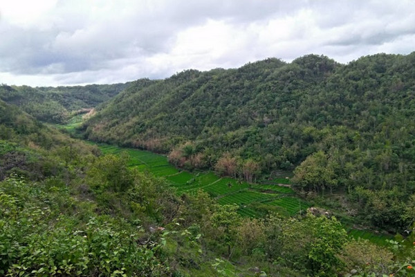 Pemandangan Bengawan Solo Purba yang masuk kawasan Gunung Sewu di Kabupaten Wonogiri, Jateng. (Foto: Google Maps/Agus Tjipto Djati)