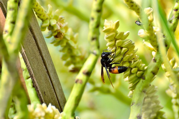 Ilustrasi. (Foto: iStockphoto)