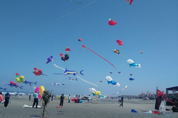 Kawasan Pantai Parangtritis di Kabupaten Bantul, DIY. (Foto: Google Maps/christina kristiani)