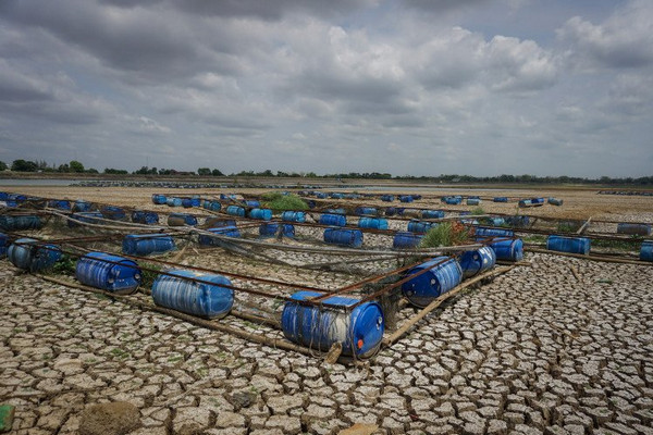 Keramba jaring apung dibiarkan nelayan terbengkalai di dasar Waduk Mulur, Kabupaten Sukoharjo, Jateng, Senin (4/11). (Foto: Antara Foto/Mohamad Ayudha)