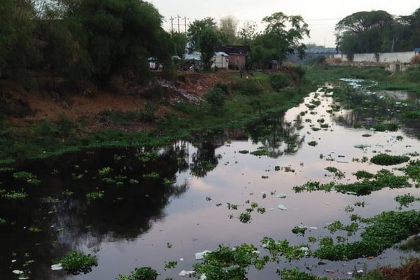 Kondisi air Bengawan Solo yang tercemar limbah di Kota Surakarta, Jateng, Minggu (10/11). (Foto: Twitter/@pdamsolo)