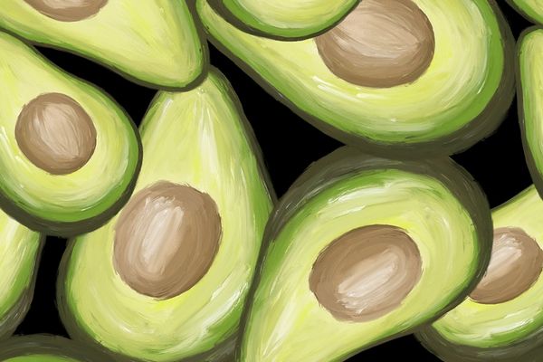 Lukisan buah alpukat (Pixabay).