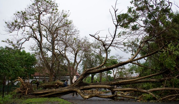 Ilustrasi/ Foto: Flickr by: Rocky Adiguna