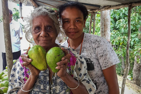 Alpukat Soe. (Foto: Dok. Ditjen PDT Kemendes PDTT)