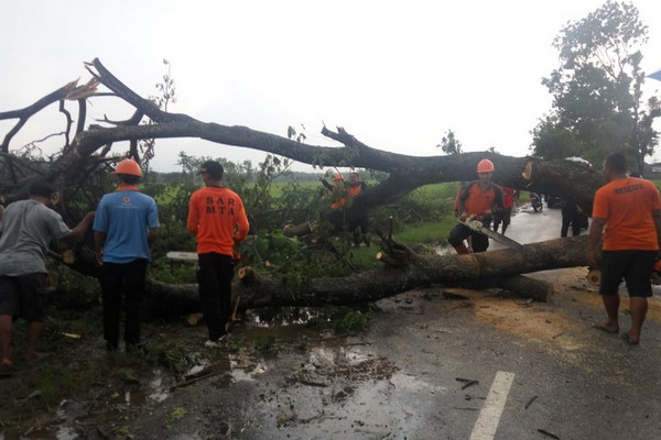 Tim gabungan mengevakuasi pohon tumbang menggunakan gergaji mesin usai hujan deras disertai angin kencang yang melanda Kecamatan Kedawung, Kabupaten Sragen, Jateng, Selasa (15/1). (Foto: Polres Sragen)