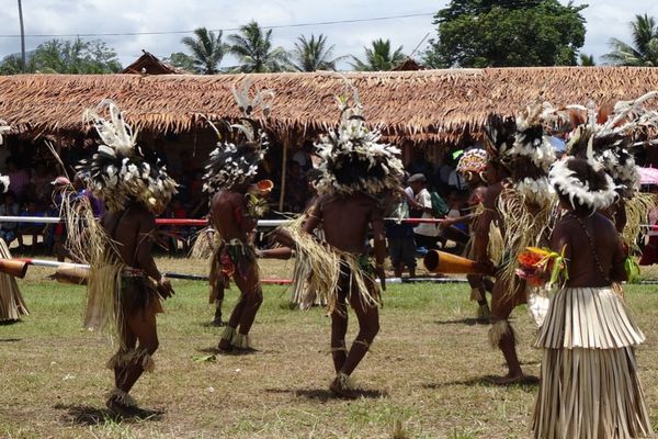 Mendagri Tekankan Sinkronisasi Pusat–Daerah untuk Percepat Pembangunan Papua