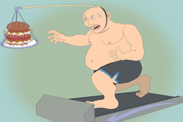 Foto Ilustrasi (Pixabay).