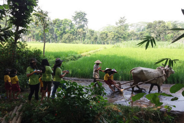 Wisatawan berlibur di desa wisata tanjung di Desa Donoharjo, Kecamatan Ngaglik, Kabupaten Sleman, DIY. (Foto: Google Maps/Rachel Putri)
