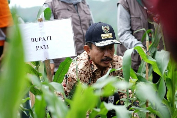 Bupati Pati Haryanto menanam tanaman di kebun bibit rakyat di izin pemanfaatan hutan perhutanan sosial (IPHPS) Desa Sukobubuk, Kecamatan Margorejo, di Pati, Kamis (9/1). (Antara)