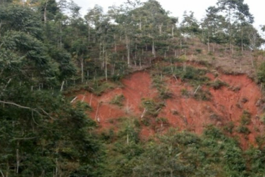Ilustrasi - Areal lereng bukit di salah satu kawasan lindung di Kabupaten Lampung Barat yang gundul dan terancam longsor saat hujan. (ANTARA)