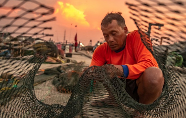 Ilustrasi/ Foto: ANTARA