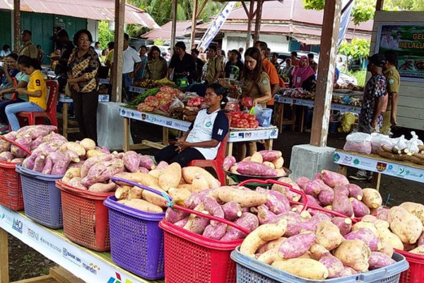 Hasil pangan lokal. (Foto: Antara).