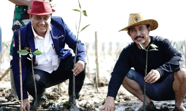 Bupati Pati Haryanto bersama Wakil Bupati Pati Saiful Arifini saat menanam tanaman mangrove di Pantai Kertomulyo, Kecamatan Trangkil, Kabupaten Pati, Jawa Tengah,  (ANTARA)
