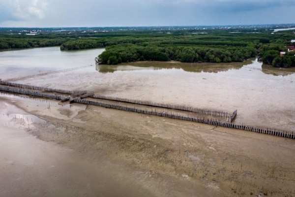 Foto udara pasak konstruksi Hybrid Engineering (struktur perangkap sedimen ramah lingkungan) yang berfungsi untuk meningkatkan ketahanan lingkungan pesisir dari abrasi membentang di Desa Timbulsloko, Kecamatan Sayung, Demak, Jawa Tengah, Senin (27/1/2020). (Foto&keterangan: Antara).