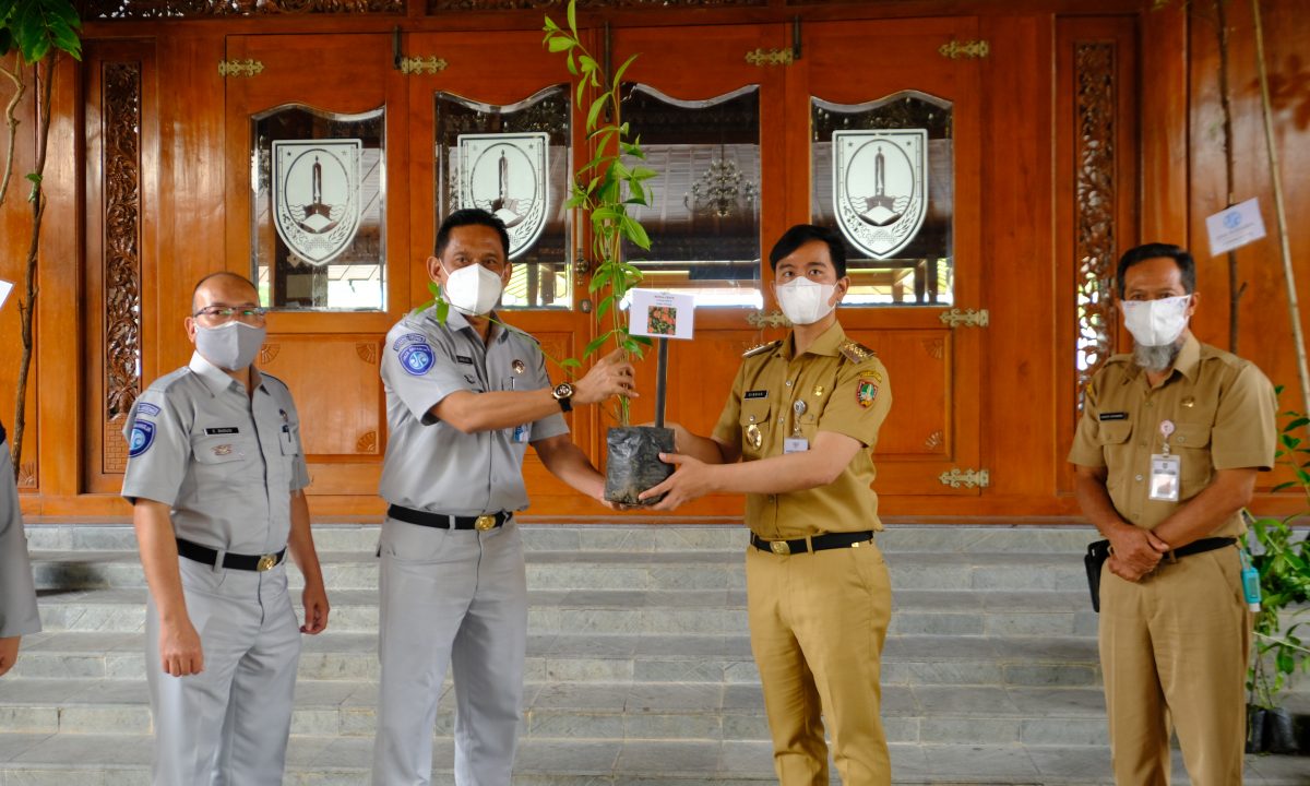 Wali Kota Surakarta secara simbolis menerima bantuan bibit pohon dari direksi PT Jasa Raharja Jateng, Senin (28/6). Foto:  Surakarta.go.id