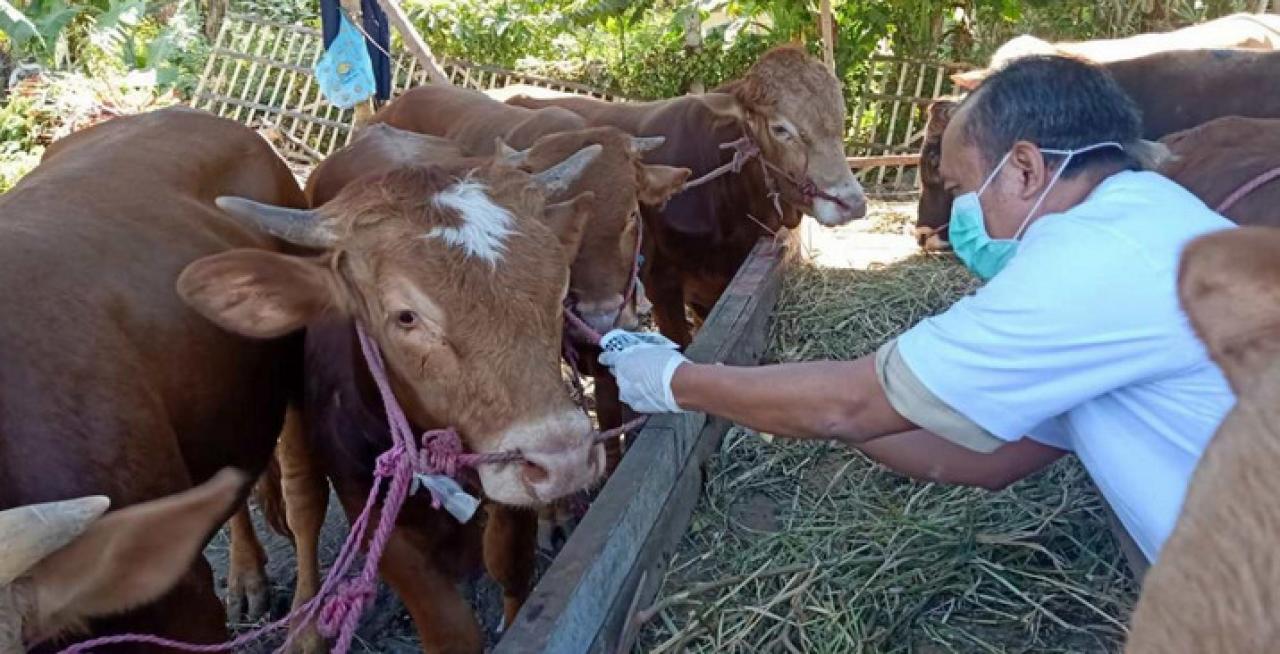 Foto: pekalongankota.go.id