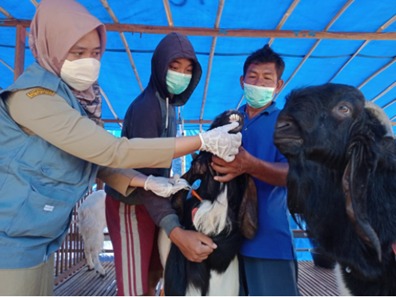 Dispertan Kota Semarang Imbau Masyarakat Potong Hewan Kurban di RPH