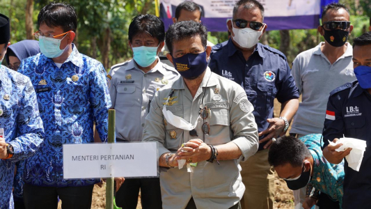 Mentan RI, Syahrul Yasin Limpo saat menggarap lahan porang di Kampung Celai, Kelurahan Balleanggi, Kecamatan Balloci, Sulawesi Selatan. Foto: kementan.go.id