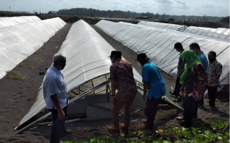 Bupati Purworejo, Agus Bastian meninjau meninjau lokasi pembuatan garam di pantai Desa Patutrejo. (Foto: Laman purworejokab.go.id)