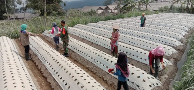 Penyaluran masker bagi masyarakat terdampak abu vulkanik Merapi. (Foto: Laman beritamagelang.go.id)