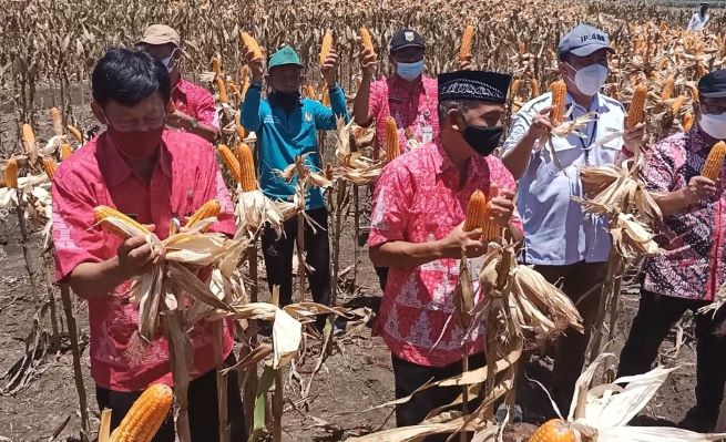 Foto: semarangkab.go.id