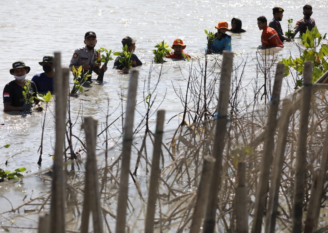 Kegiatan Mageri Segra di Pantai Desa Bedono Demak. Foto: jatengprov.go.id