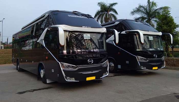 Ilustrasi Bus Pariwisata. Foto: sanjayatour.com
