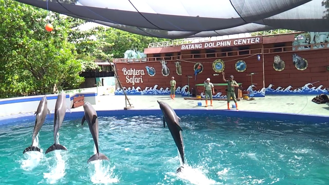 Objek wisata Dolphin Center. Foto: Youtube.com