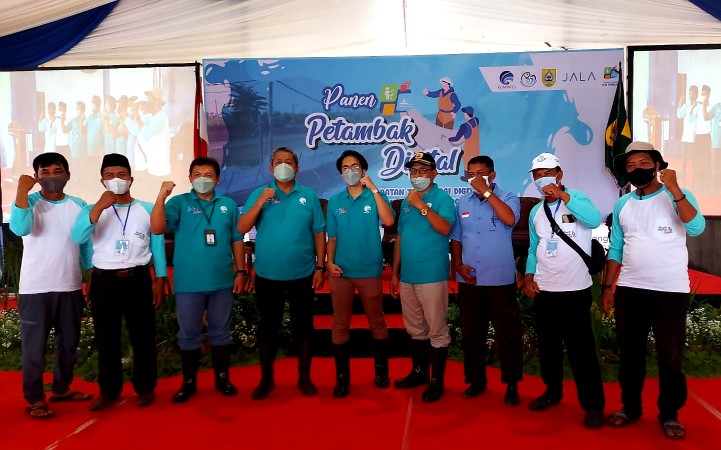 Sekda Pemalang, Arifin beserta pejabat setempat saat panen raya udang di pantai Joko Tingkir, Kecamatan Petarukan. Foto: Instagram @pemalangkab
