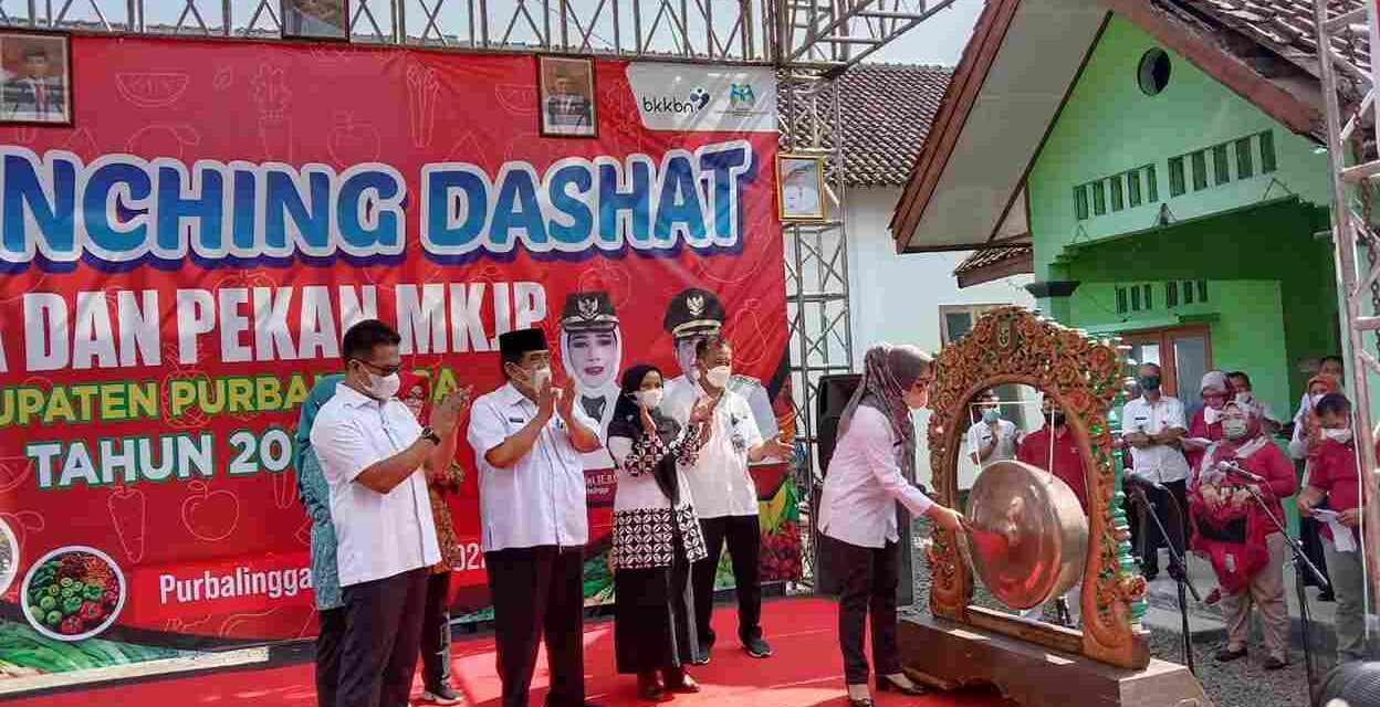 Bupati Purbalingga, Dyah Hayuning Pratiwi, meluncurkan DRPPA dan MKJP di Desa Sempor Lor, Kecamatan Kaligondang. Sumber foto: purbalinggakab.go.id