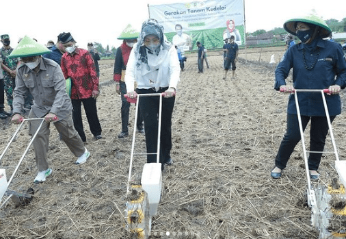 Bupati Klaten saat menghadiri Gerakan Tanam Kedelai dan Pencanangan Tunas Bangkit Kedelai, Sabtu (21/5). Sumber: instagram.com/humaskabklaten