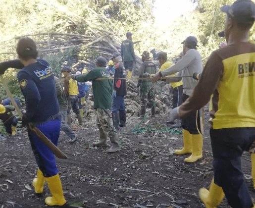 Upaya evakuasi rumpun bambu yang roboh di atas Sungai Cino, Desa Srebegan, Ceper, Kamis (2/6). Sumber: Instagram BPBD Kabupaten Klaten
